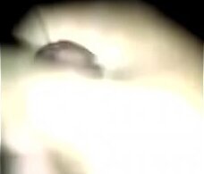 Chibolo ense&ntilde_a semen