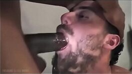 Cocksucking Compilation