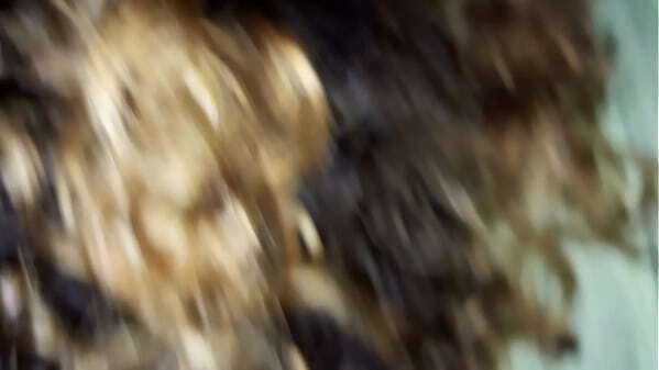 Latina takes camera just misses shot