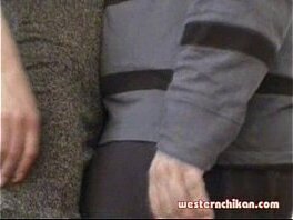 westernchikan dnalyc