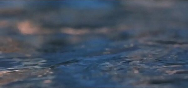 Frances Raines Fall Break