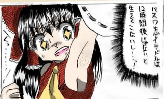 Underarm hair Reimu Tragi Mizuhashi Parsee