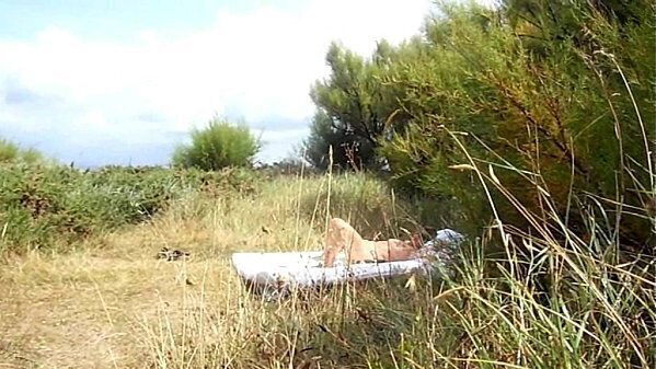 grosse mature branle dans dunes devant voyeur