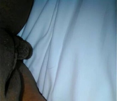 Honeymoon Weekend Daytona