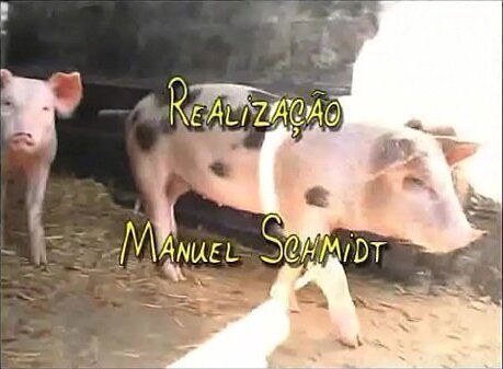 1&ordm_ M&ecirc_s Quinta Conde Melhores cenas