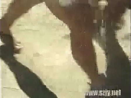 古代帝王搞老百姓