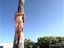 Hogtied promo compilation