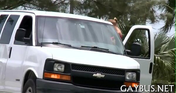 Free cream during wild