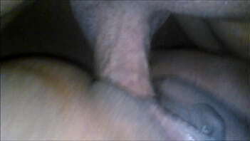 Brother enjoys pussy