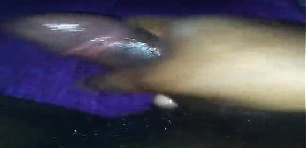 xvideos.com ca89a18aee643eadc0ca2dabc39b7579