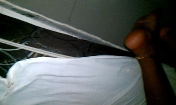 Perra Dominicana Singando 678!