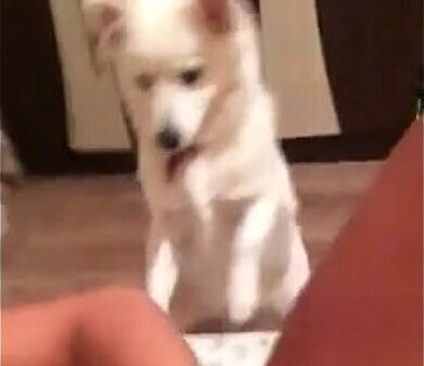 xhamster.com 5503045 alexa iliuta studenta masturbeaza