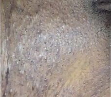 Friend needed help bills