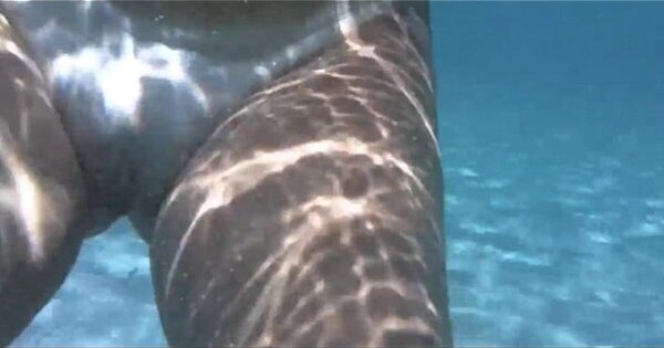 gostosa dentro d_agua porto barra salvador bahia