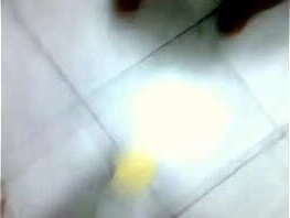 Comendo o cu da cachorra com manteiga