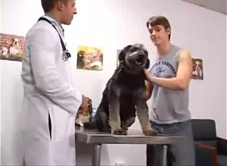 boys fuck have together