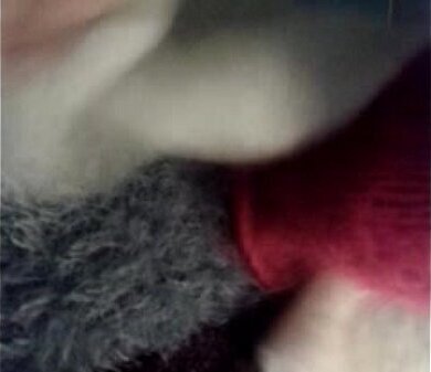 video-2015-07-16-22-46-24