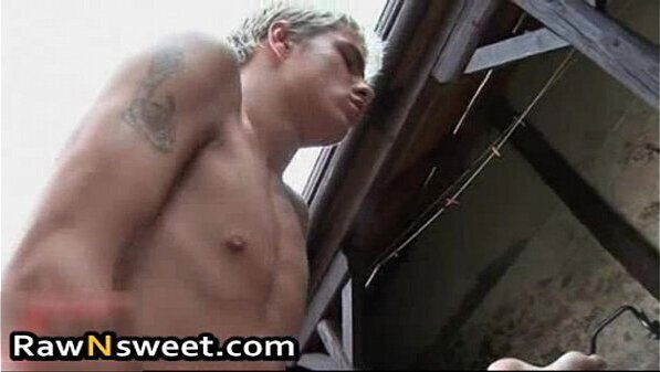 hardcore sucking porno