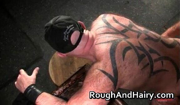 Clint Taylor Brody some hard core porno