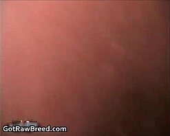 Jason Mitchell Dominik Rider porn