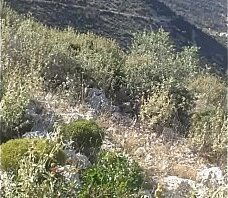 6942872233 greece.if greece 00306942872233