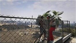 CAR SHOW &amp_ FIGHT