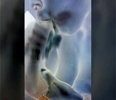 blowjob ballsucking til i cum