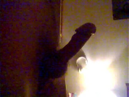 Brutal &eacute_rection