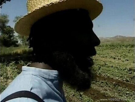 homey-in-the-haystack