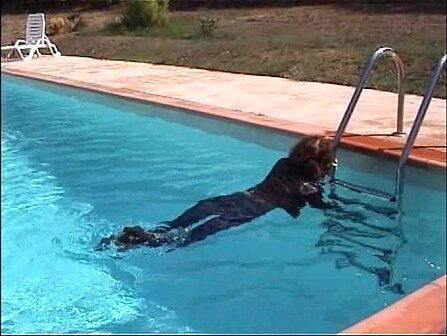 Marjories Video Gallerie