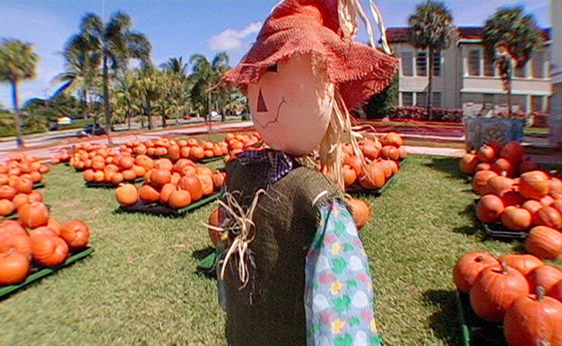 A taste of Jade's Pumpkin Tits