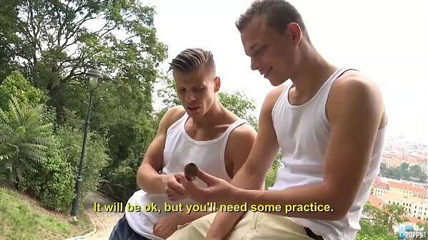 Hugo Antonin &amp_ Radan Flex