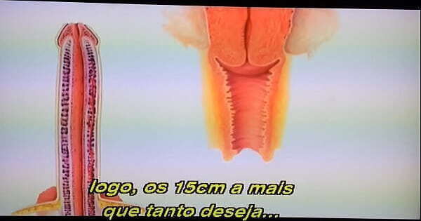 Educa&ccedil_&atilde_o sexual Katie Morgan