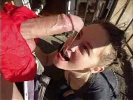 WIldlife Balcony Oral