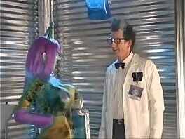 Porn stars from home