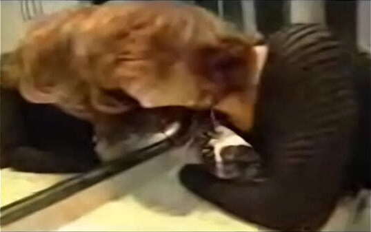 masturbacion enculada