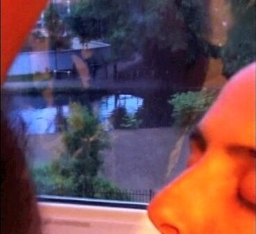 Wife sucks window neighbors