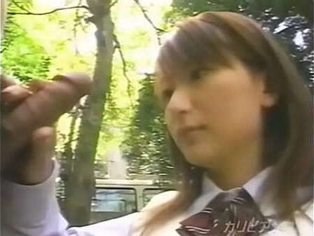 Japanese Schoolgirl Blowjob park