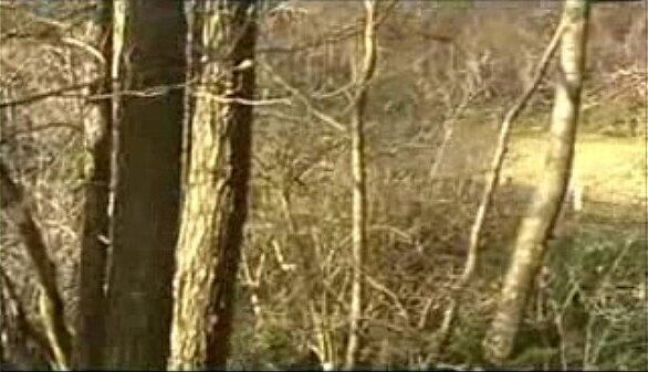 Deutsche Amateure fahren Ficken Wald