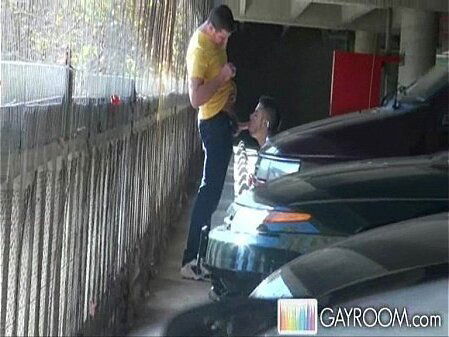 What Fucking Jackass