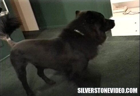 Nancy Strapon Alex Dane