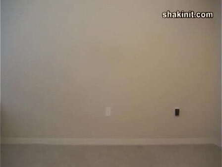 daddyskitty shakinit contests, bootylicious