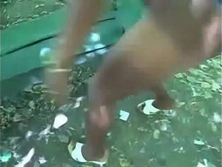 ebony bangs park bench