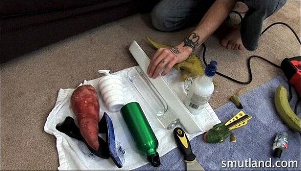 Insertions with Bottles Dinosaurs