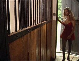 Hot Babe Fucked in Horse Stable