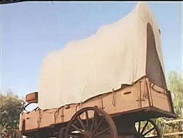 Taimie Hannum Timegate