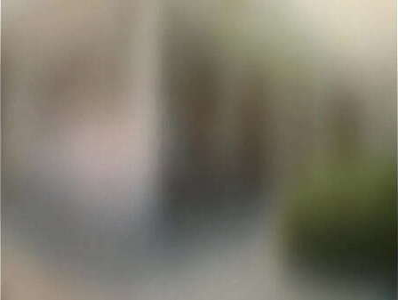 Sasha Gray (Shallows Cumfart AnaL)