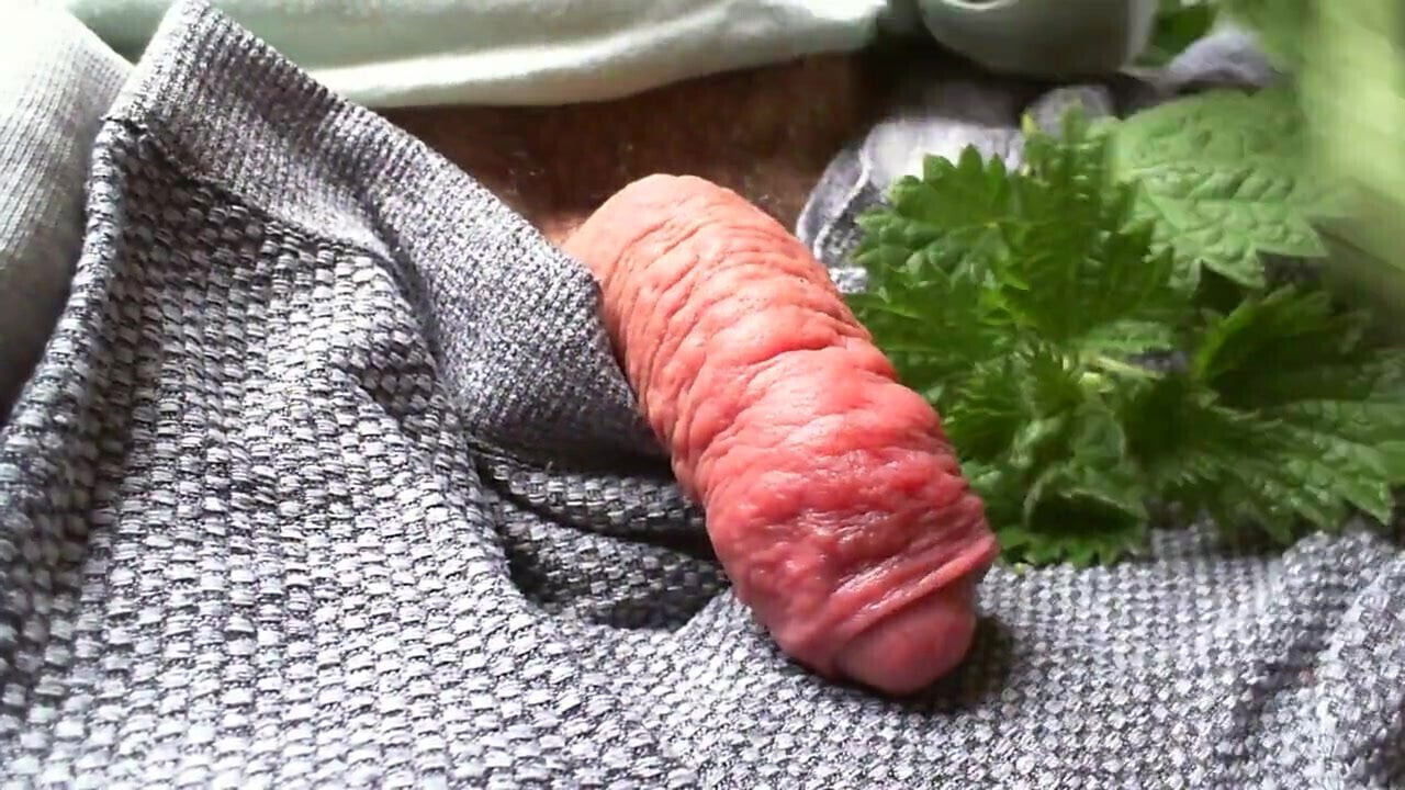 Lockdown Nettles Part