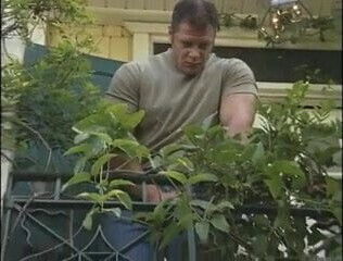 Movies Sexed, police.