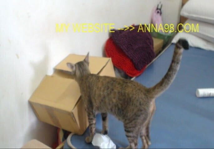 Risky B-Day Public Ohmibod Masturbation Facial